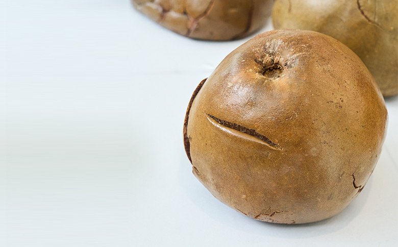 Fruta de Borojó de Representaciones Seisa SAS del Chocó, Colombia